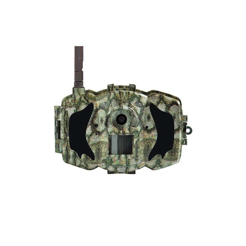 BolyGuard MG983G-12M