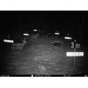 ForestCam LS-177