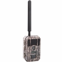 Bolyguard BG668-E36WG