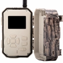 Bolyguard BG668-E36WG