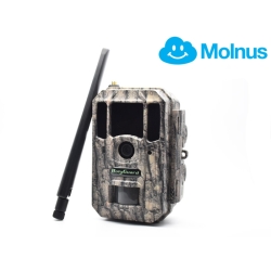 Bolyguard BG668-E36WG