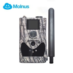 BolyGuard BG584G-24mHD