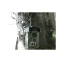 LTL Acorn 5310WMG